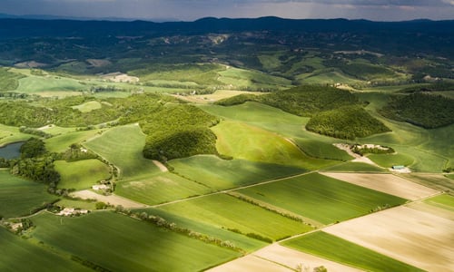 fields